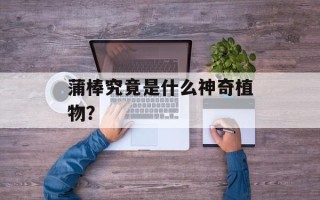 蒲棒究竟是什么神奇植物？