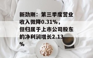 新劲刚：第三季度营业收入微降0.31%，但归属于上市公司股东的净利润增长2.13%