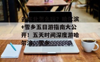 去东北怎么玩？哈尔滨+雪乡五日游指南大公开！五天时间深度游哈尔滨、雪乡