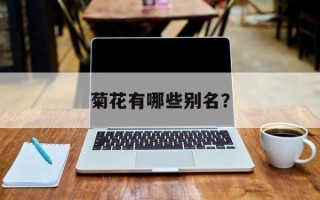 菊花有哪些别名？