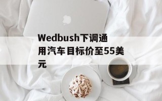 Wedbush下调通用汽车目标价至55美元