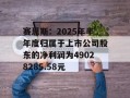 赛恩斯：2025年半年度归属于上市公司股东的净利润为49028285.58元
