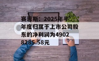 赛恩斯：2025年半年度归属于上市公司股东的净利润为49028285.58元