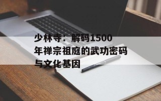 少林寺：解码1500年禅宗祖庭的武功密码与文化基因