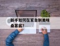 新手如何在家自制美味桑葚酱？