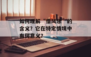 如何理解“借风乐”的含义？它在特定情境中有何意义？