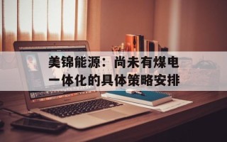 美锦能源：尚未有煤电一体化的具体策略安排