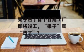 果子熟了首个自建工厂即将竣工，“果子”真“熟了”？