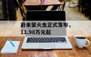 蔚来萤火虫正式发布，11.98万元起