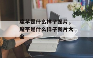 魔芋是什么样子图片，魔芋是什么样子图片大全