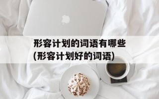 形容计划的词语有哪些(形容计划好的词语)