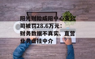 阳光财险咸阳中心支公司被罚28.6万元：财务数据不真实、直营业务虚挂中介