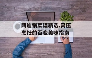 阿迪锅菜谱精选,高压烹饪的百变美味指南