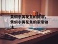 黄焖小黄花鱼的做法，黄焖小黄花鱼的家常做法