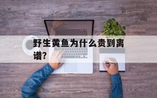 野生黄鱼为什么贵到离谱？
