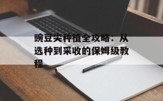 豌豆尖种植全攻略：从选种到采收的保姆级教程