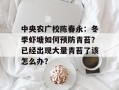 中央农广校陈春永：冬季虾塘如何预防青苔？已经出现大量青苔了该怎么办？