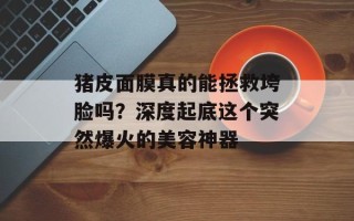 猪皮面膜真的能拯救垮脸吗？深度起底这个突然爆火的美容神器