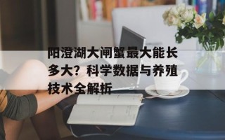 阳澄湖大闸蟹最大能长多大？科学数据与养殖技术全解析