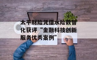 太平财险凭借水险数智化获评“金融科技创新服务优秀案例”