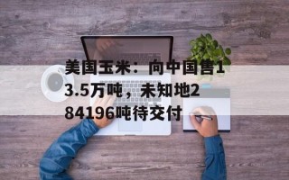 美国玉米：向中国售13.5万吨，未知地284196吨待交付