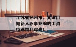 江苏省扬州市，某试用期新入职事业编的工资待遇福利曝光！