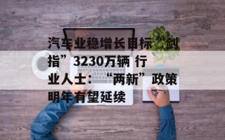汽车业稳增长目标“剑指”3230万辆 行业人士：“两新”政策明年有望延续