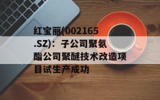 红宝丽(002165.SZ)：子公司聚氨酯公司聚醚技术改造项目试生产成功