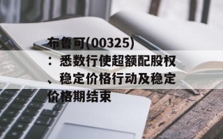 布鲁可(00325)：悉数行使超额配股权、稳定价格行动及稳定价格期结束