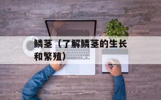 鳞茎（了解鳞茎的生长和繁殖）