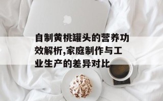 自制黄桃罐头的营养功效解析,家庭制作与工业生产的差异对比