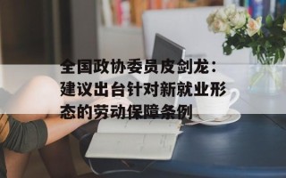全国政协委员皮剑龙：建议出台针对新就业形态的劳动保障条例