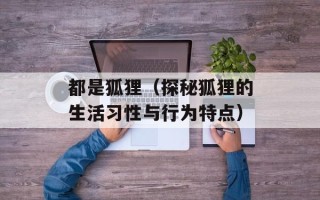 都是狐狸（探秘狐狸的生活习性与行为特点）