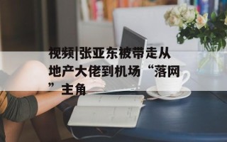 视频|张亚东被带走从地产大佬到机场“落网”主角