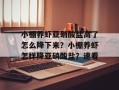 小棚养虾亚硝酸盐高了怎么降下来？小棚养虾怎样降亚硝酸盐？速看