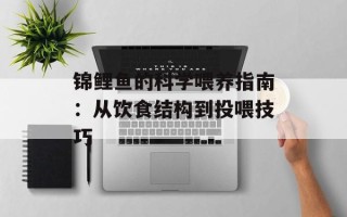 锦鲤鱼的科学喂养指南：从饮食结构到投喂技巧