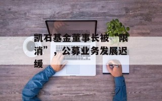 凯石基金董事长被“限消”，公募业务发展迟缓