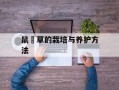 鼠粬草的栽培与养护方法
