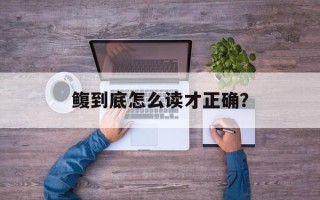 鳆到底怎么读才正确？
