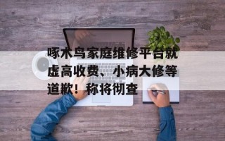 啄木鸟家庭维修平台就虚高收费、小病大修等道歉！称将彻查
