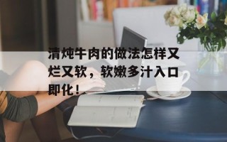 清炖牛肉的做法怎样又烂又软，软嫩多汁入口即化！