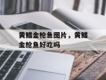 黄鳍金枪鱼图片，黄鳍金枪鱼好吃吗