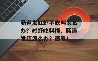 肠道发红虾不吃料怎么办？对虾吃料慢、肠道发红怎么办？速看！