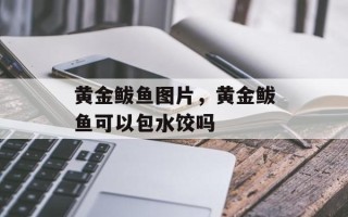 黄金鲅鱼图片，黄金鲅鱼可以包水饺吗