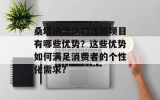 桑塔纳浩纳的选装项目有哪些优势？这些优势如何满足消费者的个性化需求？