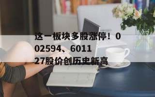 这一板块多股涨停！002594、601127股价创历史新高