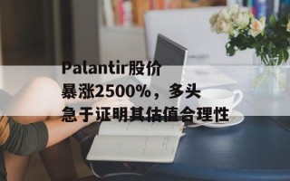 Palantir股价暴涨2500%，多头急于证明其估值合理性