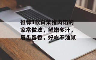推荐3款白菜猪肉馅的家常做法，鲜嫩多汁，唇齿留香，好吃不油腻