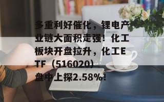 多重利好催化，锂电产业链大面积走强！化工板块开盘拉升，化工ETF（516020）盘中上探2.58%！