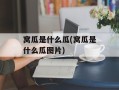窝瓜是什么瓜(窝瓜是什么瓜图片)